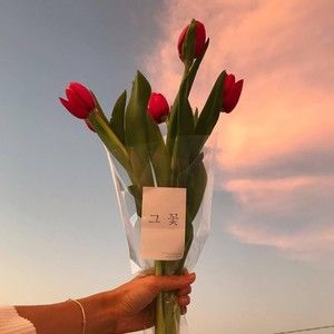 Meet your Posher, Gigi